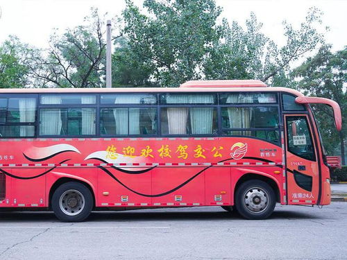 公交駕校熱門報名車型匯總,你pick哪一款