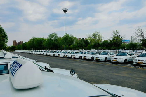 梨園學(xué)大車哪家強(qiáng)