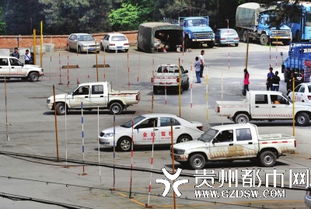 學(xué)員與駕校綁定在一起 駕照自學(xué)自考沒(méi)想象容易