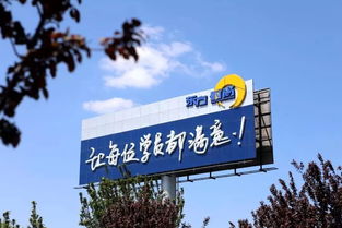 重要通知 國(guó)內(nèi)唯一主板上市駕校落戶淄博