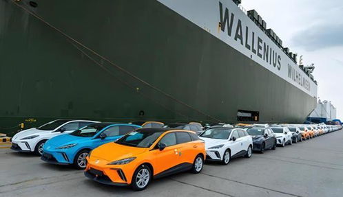 歐盟對(duì)華關(guān)稅生效不到一周,中方拒絕妥協(xié),宣布對(duì)歐盟展開反調(diào)查